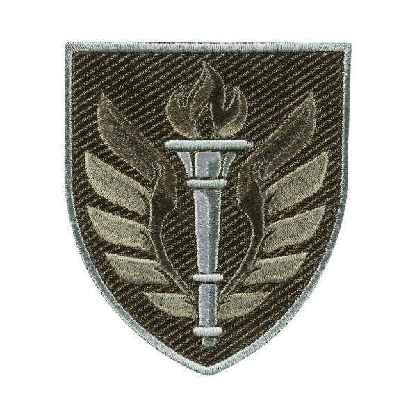 ШЕВРОН 199 НАВЧАЛЬНИЙ ЦЕНТР ДШВ ПОЛЬОВИЙ