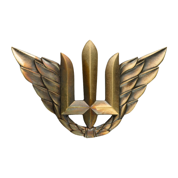 БЕРЕТНИЙ ЗНАК ПОВІТРЯНИХ ВІЙСЬК