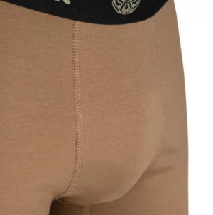 P1G-TAC ТРУСИ ASB COYOTE BROWN UA281-39973-CB