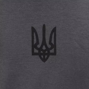 P1G-TAC ФУТБОЛКА С ПРИНТОМ ТРИЗУБ LOGO GRAPHITE UA281-29891-GT-TRL