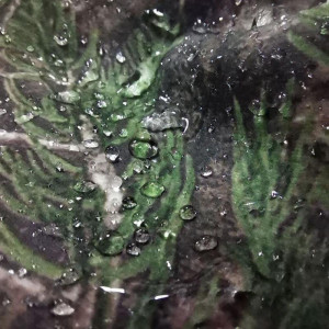 CAMO-TEC ПОНЧО PILGRIM TRICOT CAMO 2480