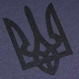 P1G-TAC ФУТБОЛКА С ПРИНТОМ ТРИЗУБ LOGO BLUE GRAPHITE UA281-29891-BG-TRL