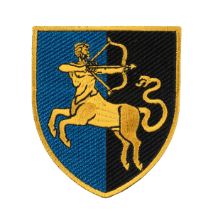 ШЕВРОН 141 ОСБР КОЛЬОРОВИЙ