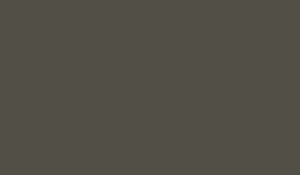 FOSCO КРАСКА МАСКИРОВОЧНАЯ ДЛЯ ОРУЖИЯ RAL 6014 OLIVE DRAB 8820