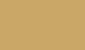 FOSCO ФАРБА ARMY PAINT SPRAY WH KHAKI TROPEN 400ML HS1910