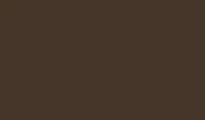 FOSCO ФАРБА МАСКУВАЛЬНА ДЛЯ ЗБРОЇ MUD BROWN RAL 8027 8822