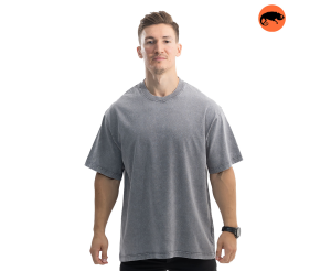 CHAMELEON ФУТБОЛКА WORNOUT LINGHT GREY YB66-03