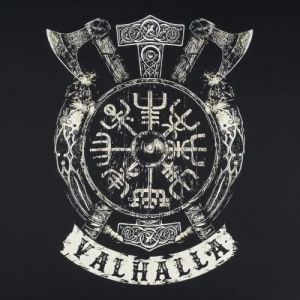 P1G-TAC ТАКТИЧЕСКАЯ ФУТБОЛКА С ПРИНТОМ VALHALLA LOGO BLACK UA281-29891-BK-VLL